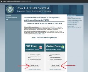 アメリカ財務省 BSA E-Filing System