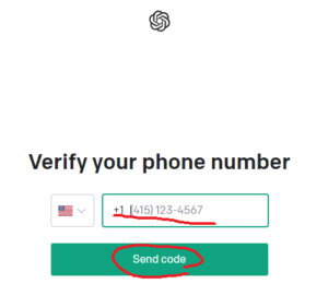 電話番号を入力して、「Send code」をクリック。
